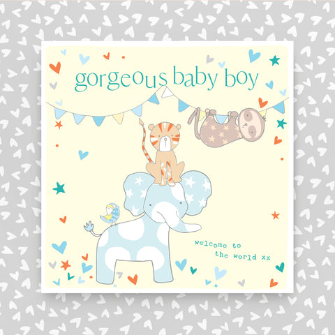 Gorgeous Baby Boy Greeting Card (FB253)