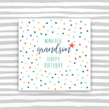Wonderful Grandson Happy Birthday (P25)