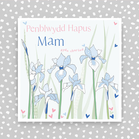 Welsh - Mam Penblwydd Hapus (Happy Birthday Mum) (PER34)