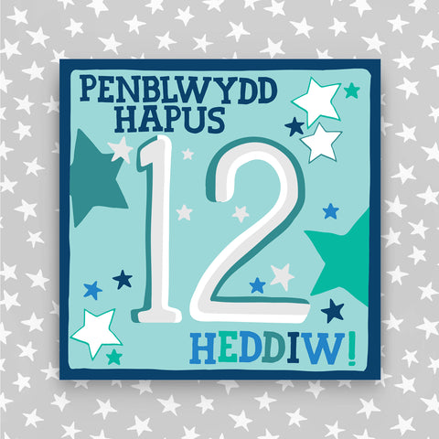 Welsh - Penblwydd Hapus 12 Heddiw - Happy Birthday 12 today card (WHH12)
